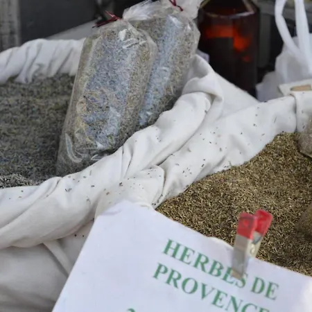 Au Lavandou Avec Terrasse Et Vue - Fr-1-251-237 アパート ル・ラヴァンドゥー