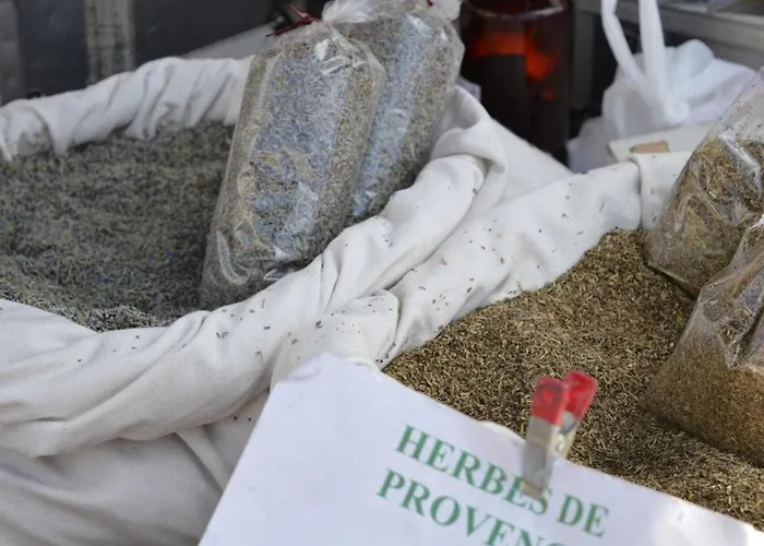 Au Lavandou Avec Terrasse Et Vue - Fr-1-251-237 Lägenhet Le Lavandou