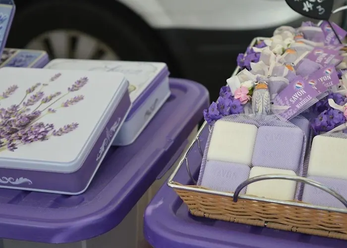 Au Lavandou Avec Terrasse Et Vue - Fr-1-251-237 *